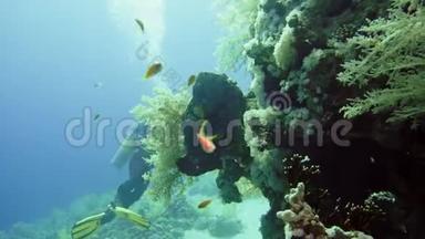 洞穴潜水水下水肺潜水员探索洞穴潜水。 埃及红海